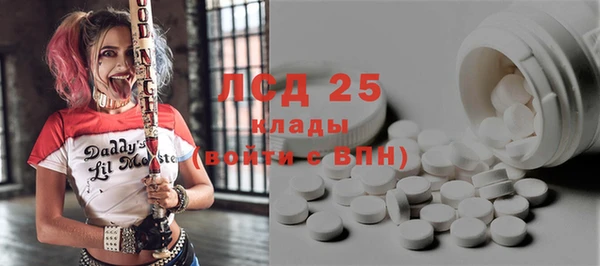 твердый Инсар