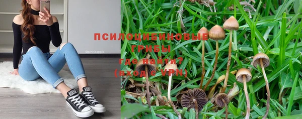 МДМА Каменка